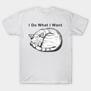 Cat i do what i want T-Shirt